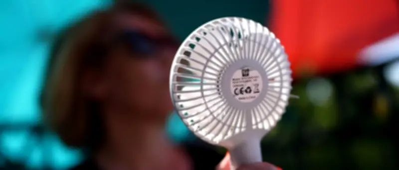 Hitzewelle in Deutschland: Neuer Allzeitrekord über 41 Grad möglich