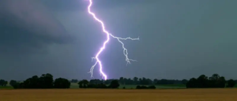 Hitzewelle in Deutschland: Rekord von 41,7 Grad, Unwetter und Waldbrände