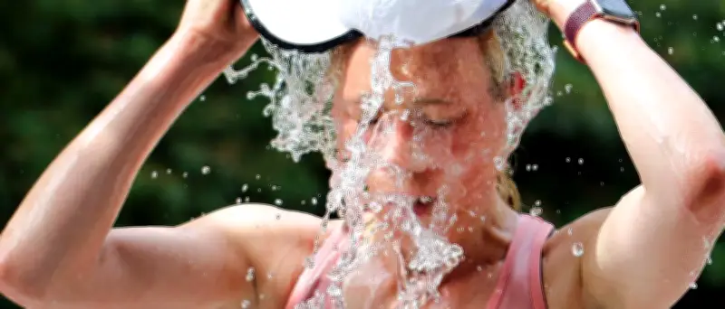 Hitzewelle in Deutschland: Rekordtemperaturen bis 42 Grad und schwere Unwetter erwartet
