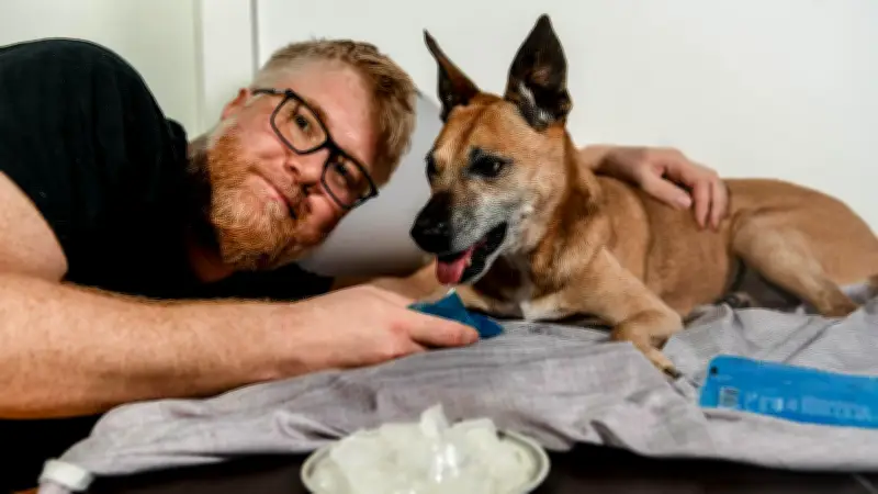 Hundekühlung bei 30 Grad: So half ich meiner Betty