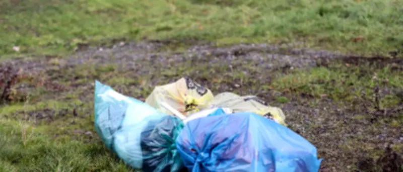 Illegales Abfalllager in Brandenburg nach Jahren geräumt