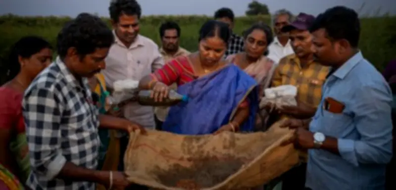 Indien beweist: Öko-Landwirtschaft funktioniert im großen Stil