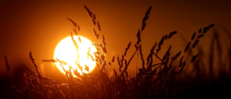 Kein Rekord: Wärmste Nacht in Deutschland nicht gebrochen