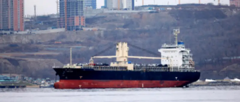 Kieler Forscher fordern Strafzoll auf Russland-Handel zur Ukraine-Unterstützung