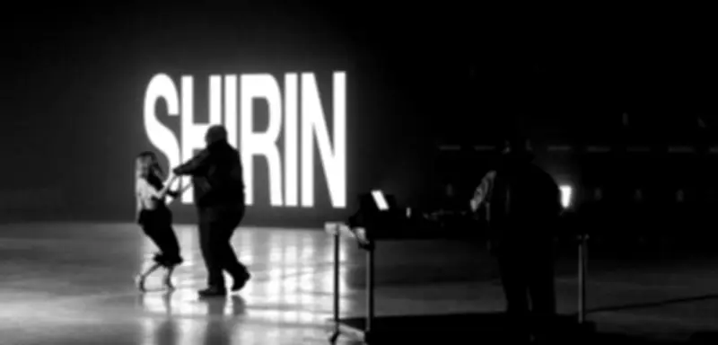 Kitschkrieg, Blumengarten und Shirin David: Deutscher Song wird weltweit viral