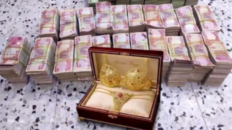 Korruptionsbekämpferin im Irak festgenommen: Millionen und Gold-Bikini entdeckt