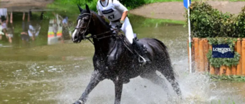 Krajewski vor fünftem DM-Titel im Vielseitigkeitsreiten