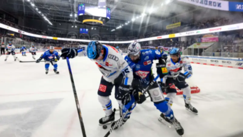Krefeld Pinguine steigen in DEL auf: Dresdner Eislöwen bleiben zweitklassig