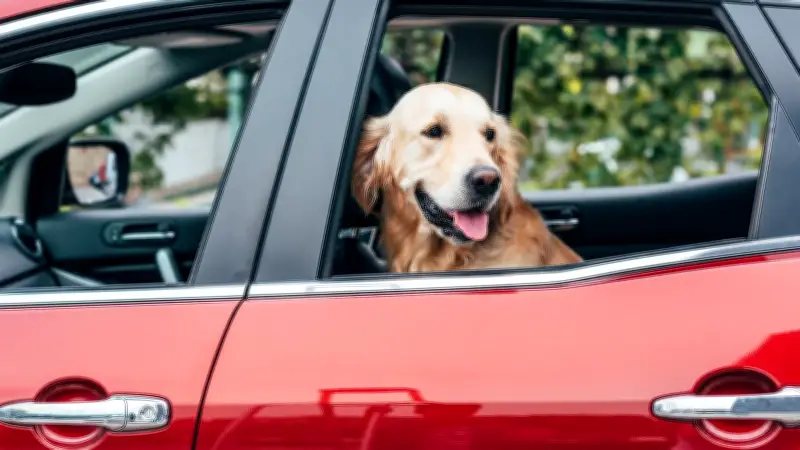 Kurioser Vorfall in den USA: Hund löst Schrotflintenschuss aus