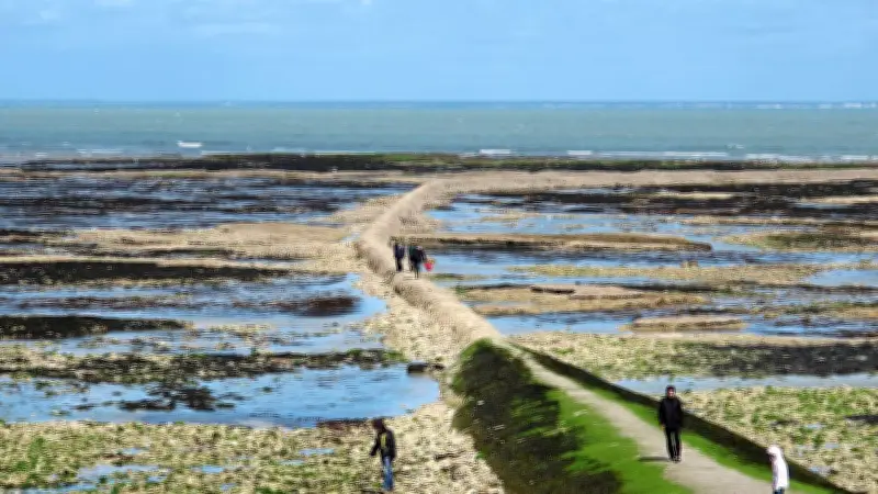 Île de Ré: Feinschmeckerparadies vor Frankreichs Küste