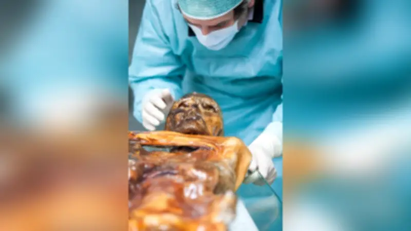 Lebende Hefen in Ötzi entdeckt: Mumie ist biologisch aktiv