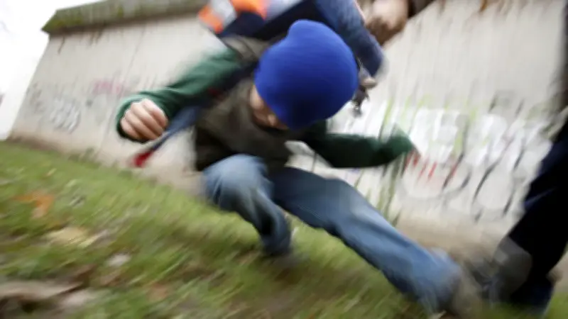 Leserbriefe: Gewalt an Schulen, Eichenprozessionsspinner und Baustellenchaos
