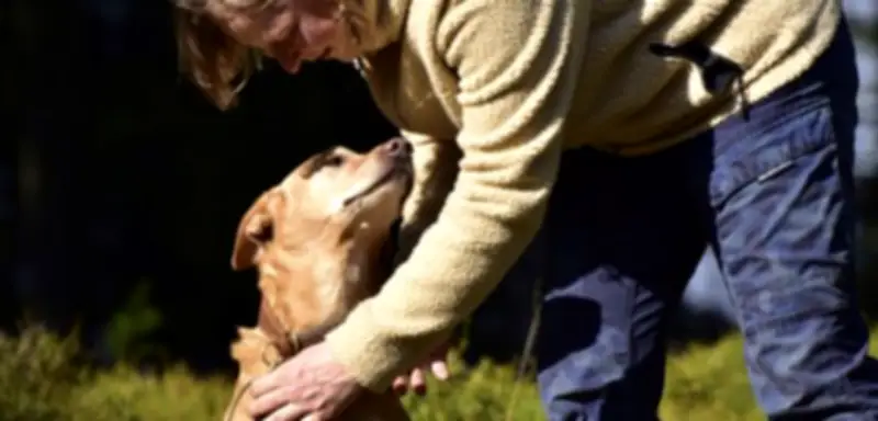 Mensch-Hund-Beziehung weltweit erstaunlich universell – Studie