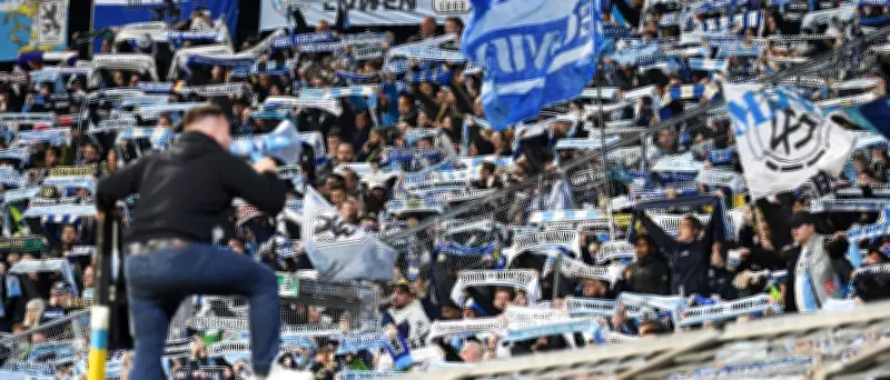 Nach Absturz: Scherbenhaufen bei 1860 München – wie geht es weiter?
