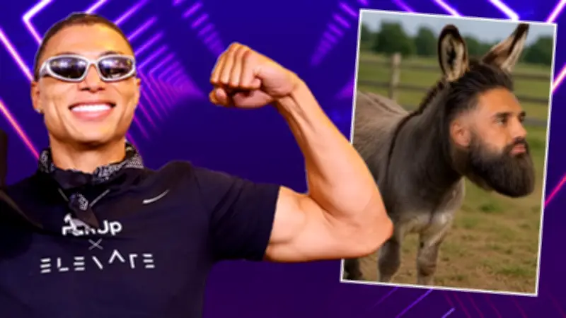 Netflix-Star Chase DeMoor demütigt Fame Fighter mit Esel-Foto
