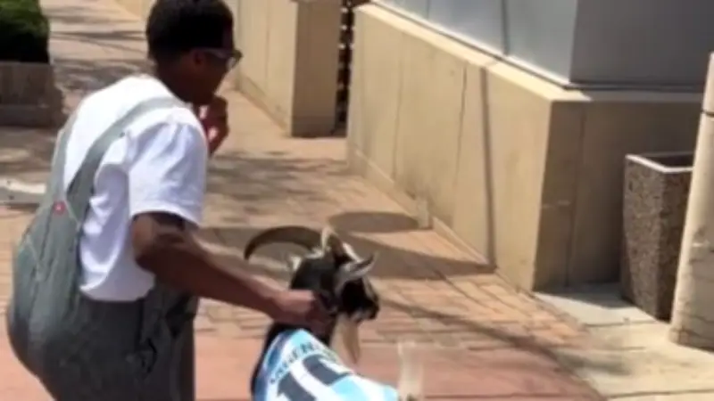 NFL-Star Jameis Winston überrascht mit Messi-Ziege bei Spaziergang