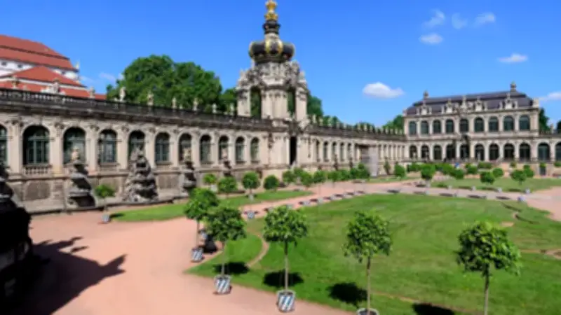 Orangenbäumchen kehren nach Sanierung in den Dresdner Zwinger zurück