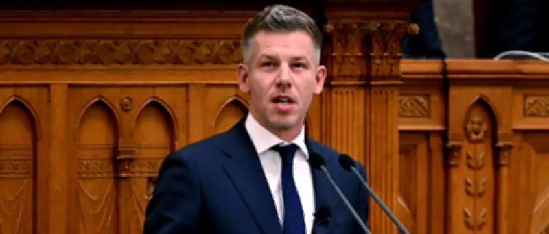 Orban-Vertrauter im Visier: Magyar will Präsidenten Sulyok absetzen