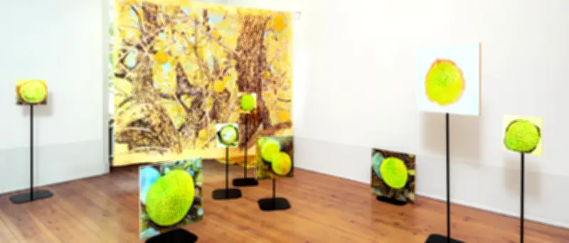 Osage-Orange im Gutshaus Steglitz: Künstlerin erforscht exotische Frucht