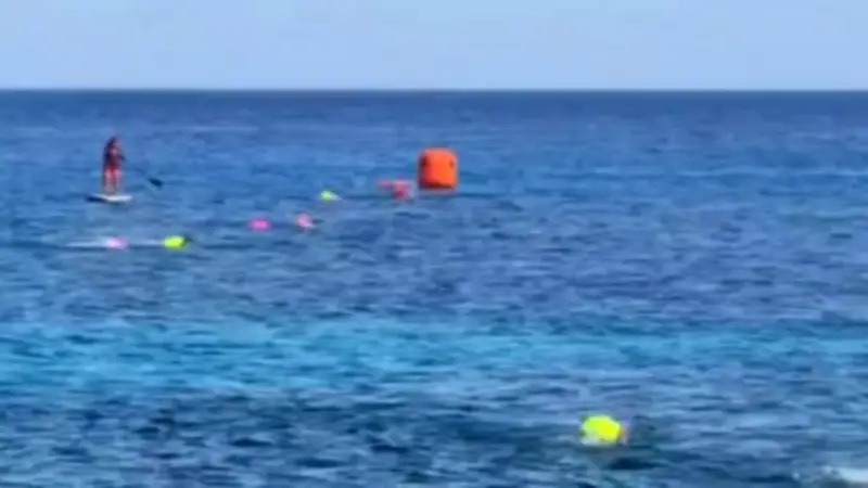 Panik vor Mexikos Ferieninsel: Krokodil schwimmt auf Kinder zu