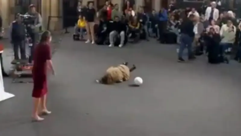 Peinlicher Hechtsprung: Reporterin stürzt bei Gratis-Ball-Aktion