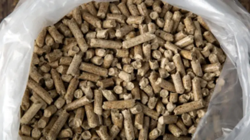 Pelletspreise am 30. Juni 2026: Tonne kostet 357,87 Euro – aktueller Überblick