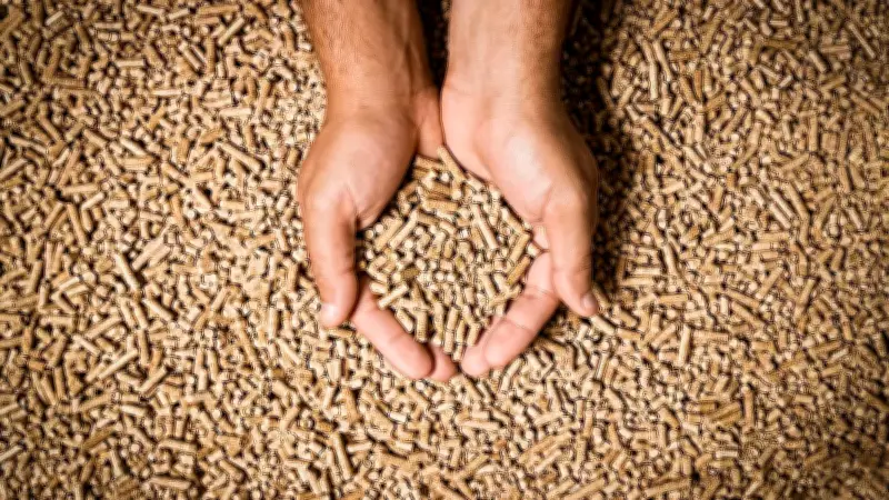 Pelletspreise am 9. Juni 2026: Aktuelle Kosten pro Tonne im Überblick