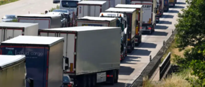 Polizei rettet 9000 Hühner vor Hitzetod auf A2 – 150 Tiere verendet