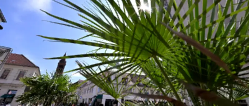 Potsdam droht Hitzerekord: Bis zu 39 Grad am Wochenende