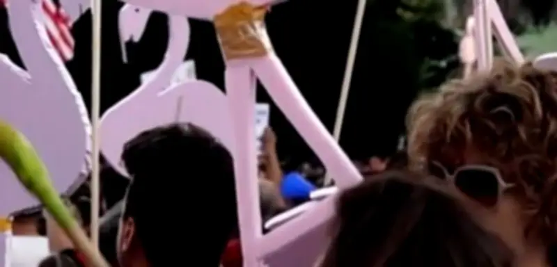Proteste gegen Kushner-Projekt in Albanien: Flamingos als Symbol