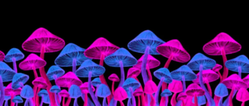 Psilocybin gegen Depressionen: Interview mit David J. Nutt