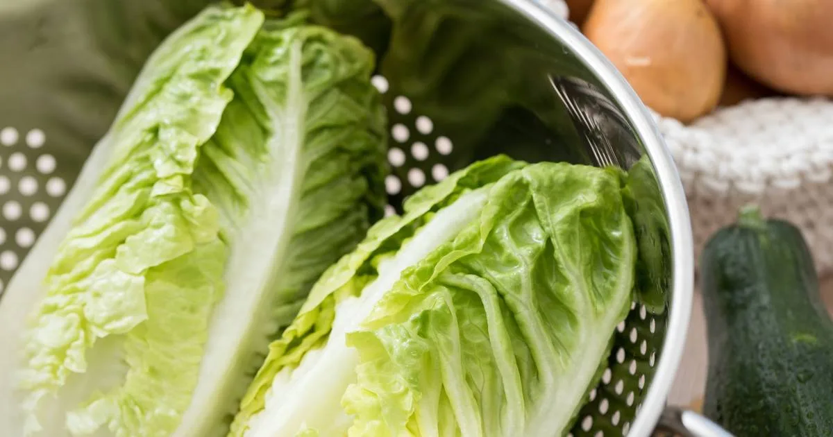 Romanasalat: Der robuste Alleskönner für Grill und Salat
