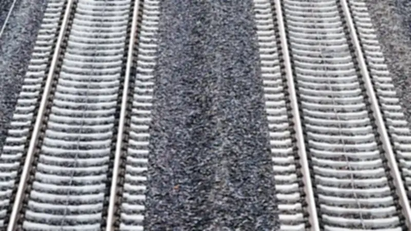 S5-Strecke nach Baum-Kollision wieder freigegeben