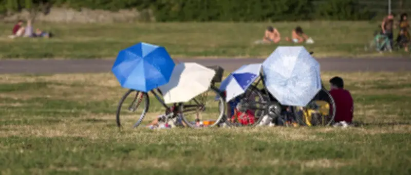 Schatten als billigste Klimaanlage: Studie zeigt kühle Sommerwege