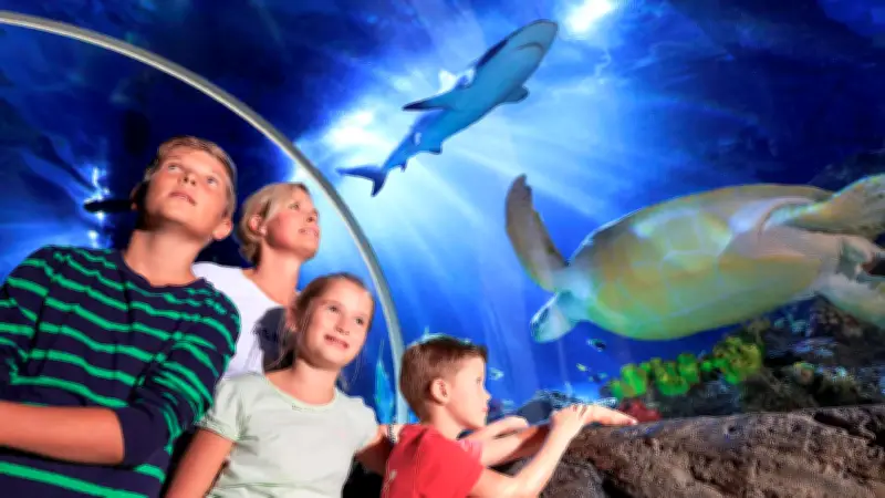SEA LIFE Aquarien: Geschichte, Attraktionen, Standorte und Preise in Deutschland