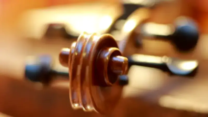 Sechs erste Preise für Brandenburg bei „Jugend musiziert“
