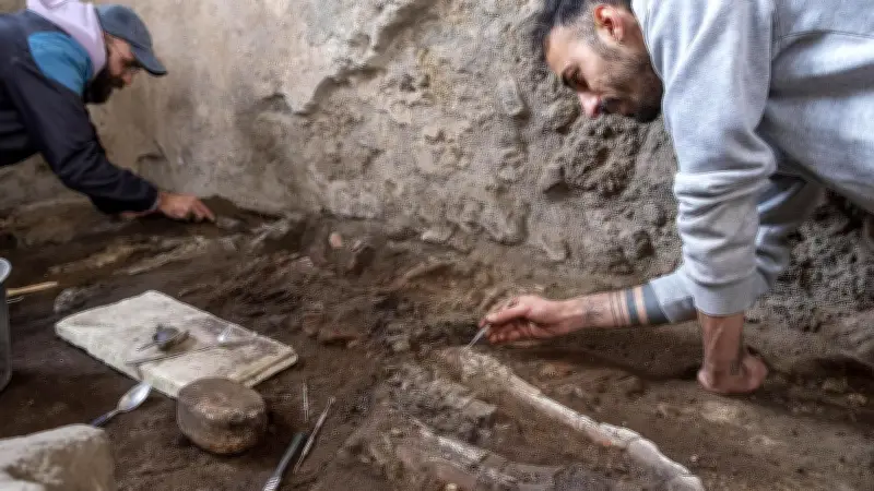 Skelettfund in Pompeji: Welche Aufgabe hatte dieses Tier?
