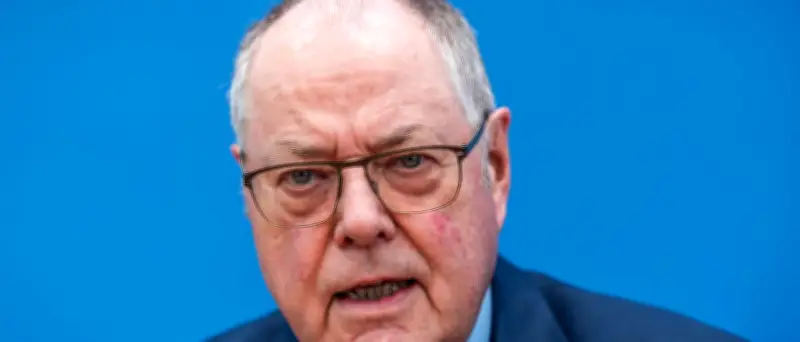 Steinbrück: Rote Linien für AfD-Gespräche statt Brandmauer