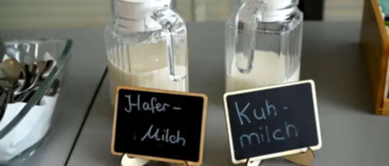 Tag der Milch: Kuh oder Pflanze? Sieben Milchmythen im Faktencheck