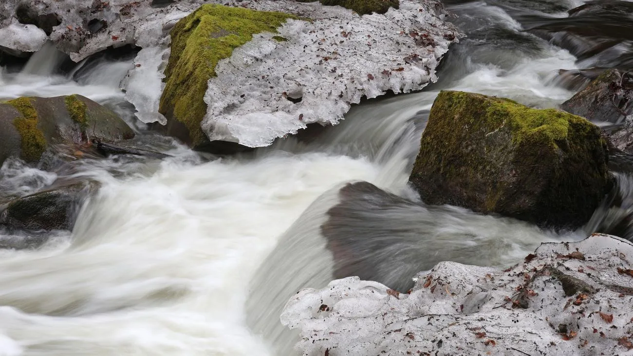 Tauwetter im Harz: Warnung vor lokalem Hochwasser