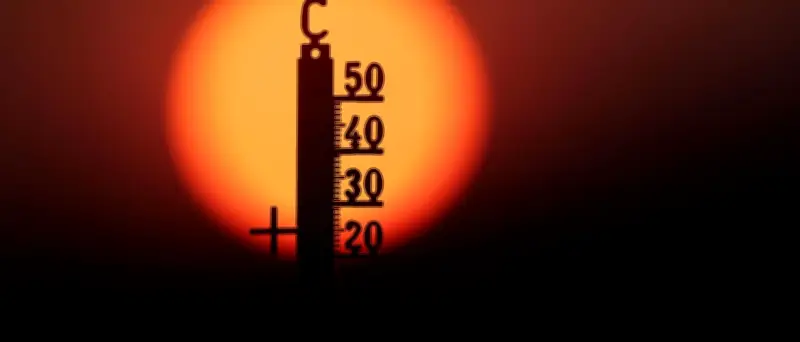 Temperaturrekord in Deutschland: 41,5 Grad gemessen