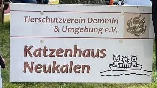 Tierschutzverein Demmin lädt zur Mitgliederversammlung ins Katzenhaus Neukalen