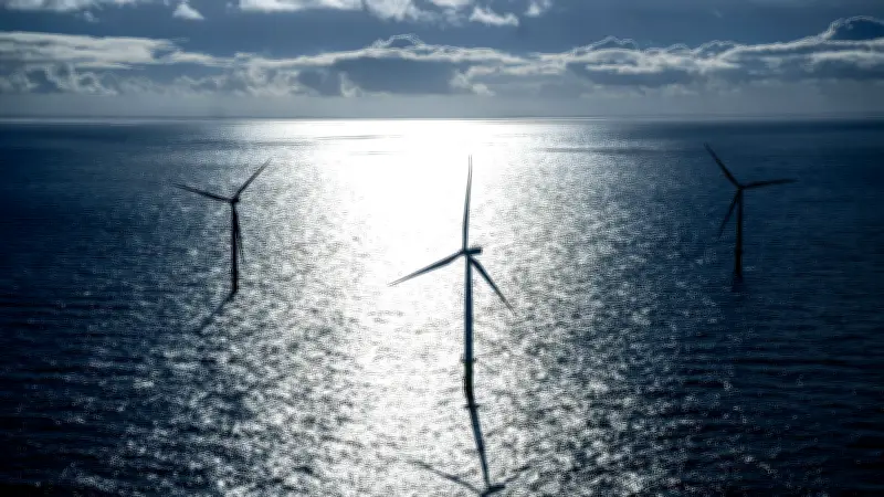 TotalEnergies gibt Windpark-Konzession bei Helgoland zurück und fordert Entschädigung