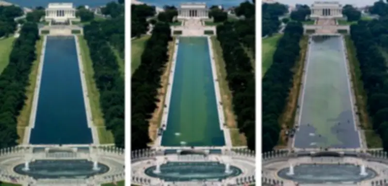 Trumps Reflecting Pool: Algen statt Sumpf – Symbol des Scheiterns