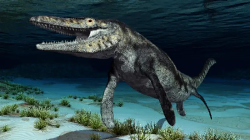 Tylosaurus rex: Forscher entdecken neuen gefährlichen Meeresräuber