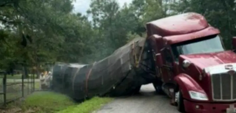 Unfall in Texas: Lkw-Anhänger kippt um, Millionen Bienen entkommen