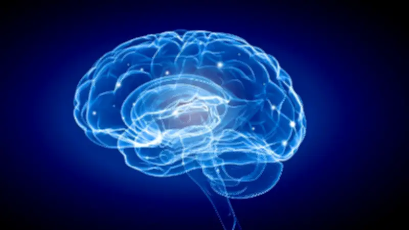 Unser Gehirn schrumpft: Sind wir intelligenter als unsere Vorfahren?