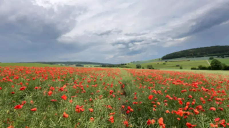Unwetter in Hessen: Blitze, Donner, Starkregen und Hagel möglich