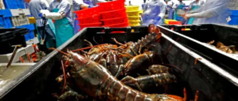 US-Hummer und Industriegüter ab Mittwoch zollfrei in der EU
