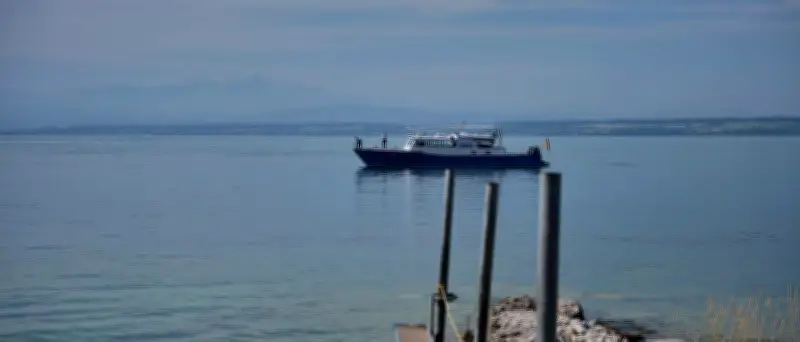 Vermisste Senioren nach Sprung in Bodensee: Suche erfolglos